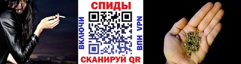 БУТИРАТ буратино  где найти   Холм 