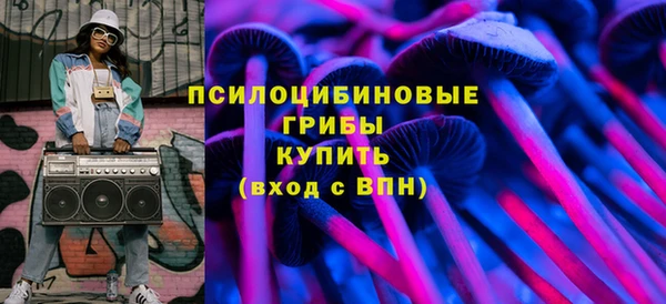 индика Абдулино