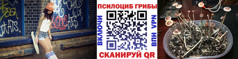 Галлюциногенные грибы мухоморы  купить   Холм 